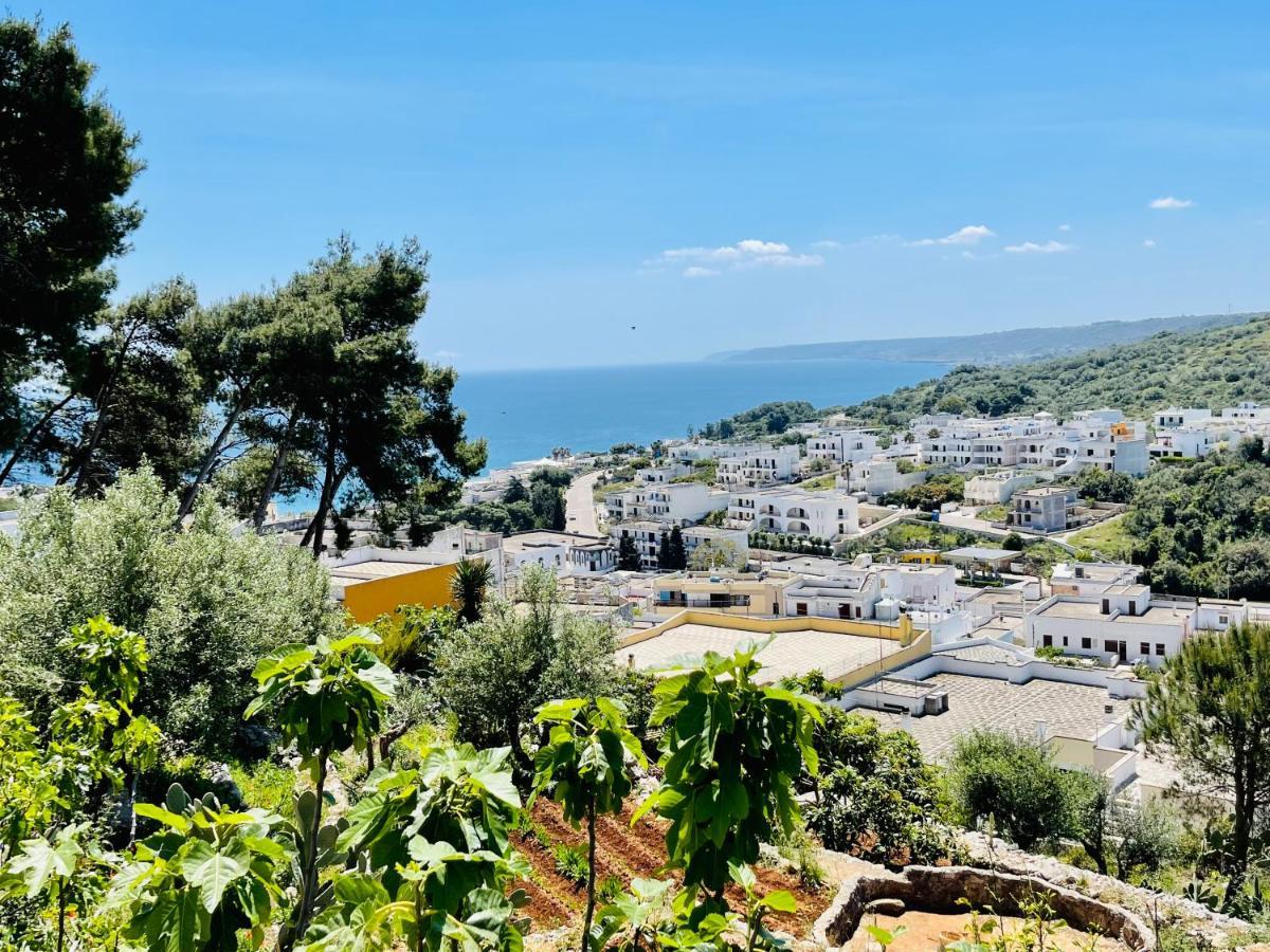 La Marea Daire Castro  Dış mekan fotoğraf